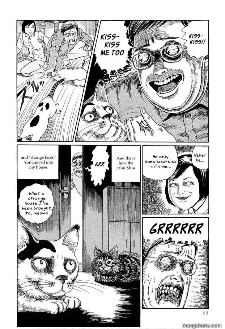 Ito Junji's Cat Diary Chapter 2 10